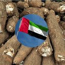 ไทยเดินหน้ารุกตลาดตะวันออกกลาง ขยายส่งออกมันสำปะหลังก่อนผลผลิตปี 68/69 ออกสู่ตลาด