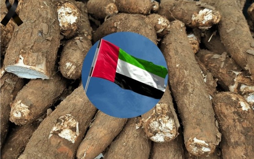 ไทยเดินหน้ารุกตลาดตะวันออกกลาง ขยายส่งออกมันสำปะหลังก่อนผลผลิตปี 68/69 ออกสู่ตลาด