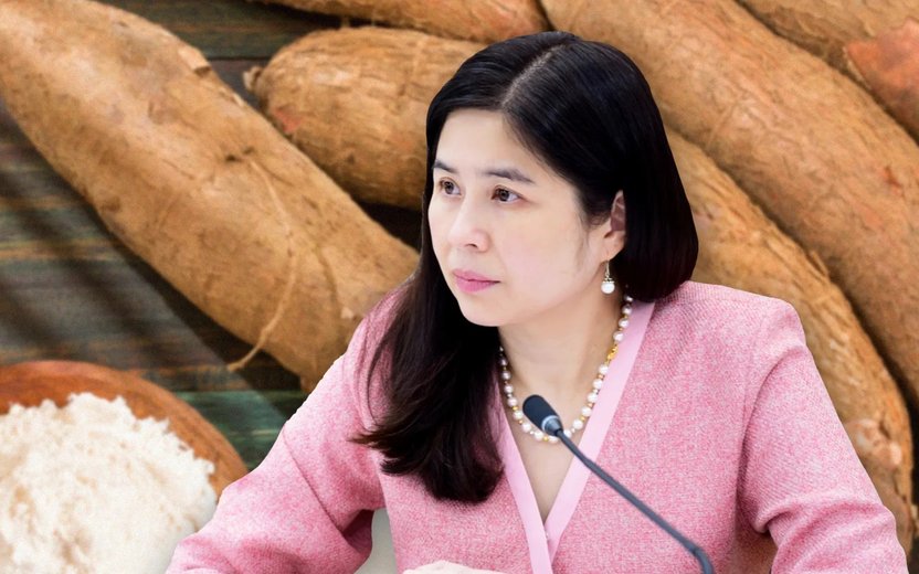 กรมการค้าต่างประเทศบุกตลาดเยอรมนี ดันมันสำปะหลังไทยสู่ห่วงโซ่อุตสาหกรรมยุโรป ชูจุดเด่น Non-GMO และ Gluten Free